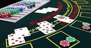 Studio live-dealer tortogel dengan kamera profesional